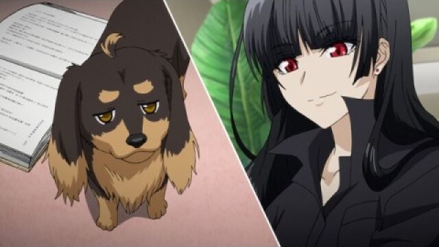 #01 犬も歩けば棒に当たる